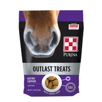 Purina® Outlast® Horse Treats 3.5lb