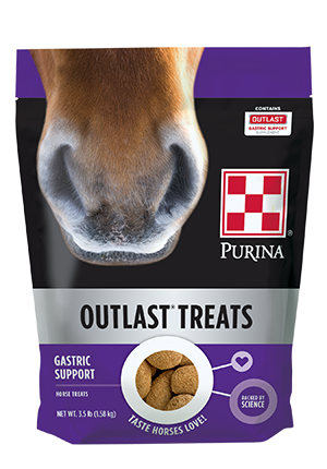 Purina&reg; Outlast&reg; Horse Treats 3.5lb