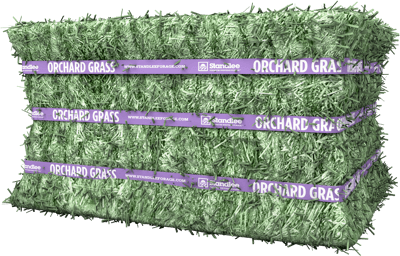 Premium Orchard Grass Compressed Bale
