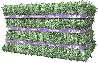 Premium Alfalfa Compressed Bale