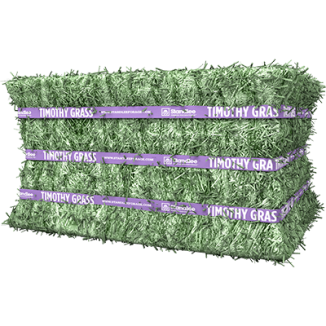 Premium Timothy Grass Compressed Bale