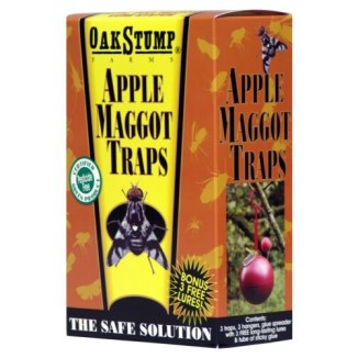 TRAP APPLE MAGGOT