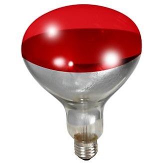 250W RED HEAT LAMP BULB