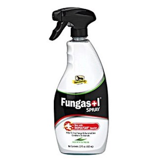 FUNGASOL SPRAY 22 OZ.