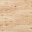 CDX PLYWOOD