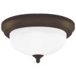 INTERIOR CEILING FIXTURES