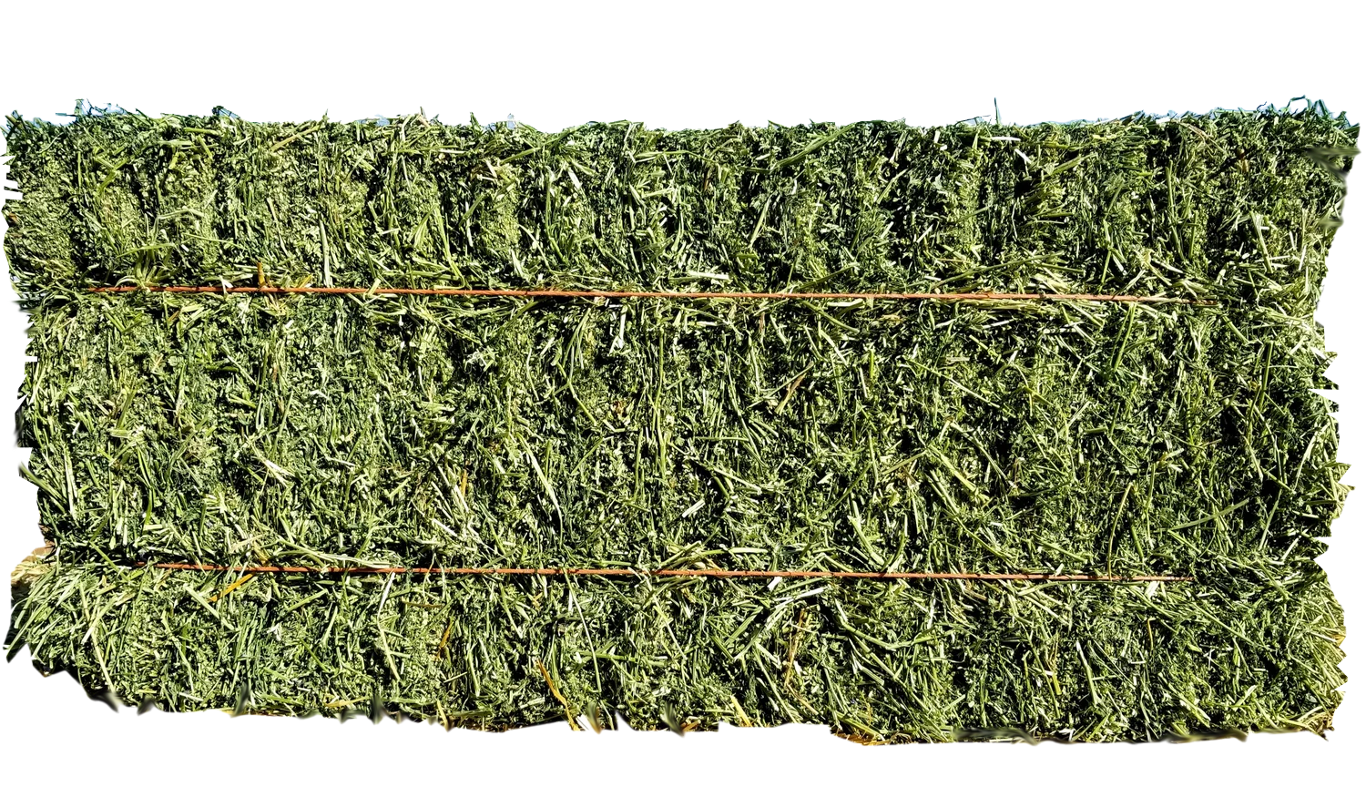 REBER ORCHARDGRASS BIG BALE/ 100