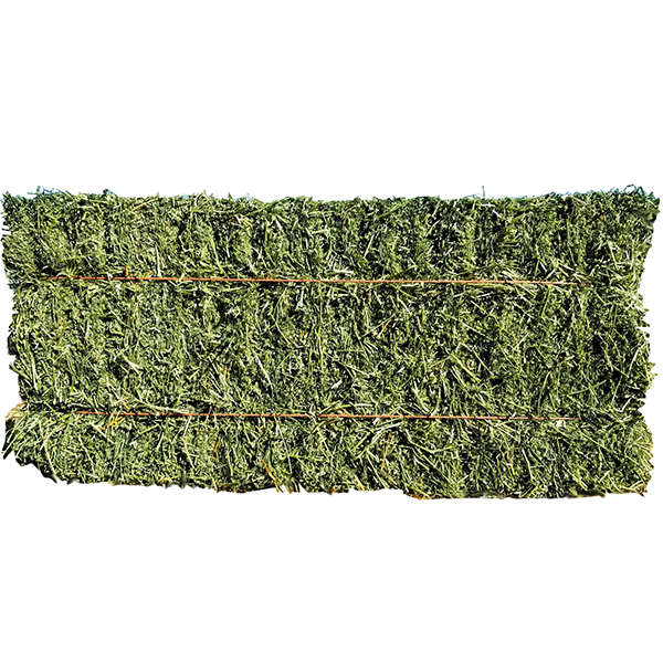 Reber Ranch Timothy Hay 100lbs