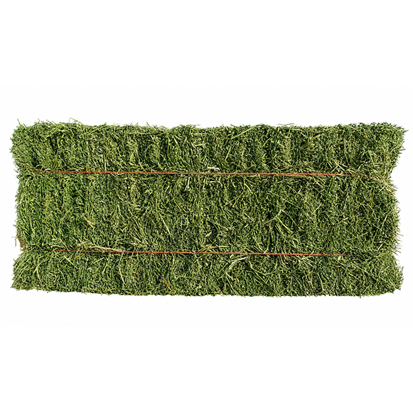 Premium Alfalfa Compressed Bale