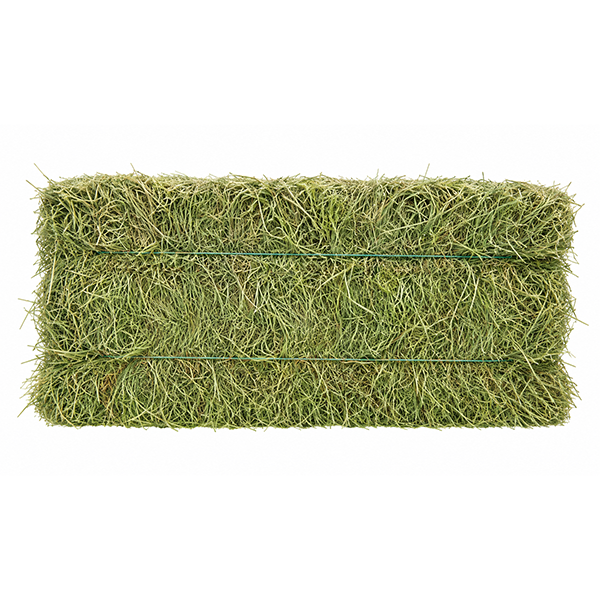 Premium Orchard Grass Compressed Bale