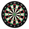 Franklin Pro Wire Bristle Dartboard