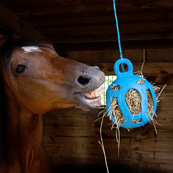 Jolly Hay Ball - Blue