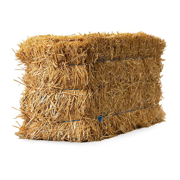 Straw Bale - 90lbs